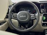 Thumbnail of 2023 Aruba Green Kia Sorento