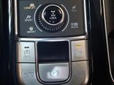 Thumbnail of 2023 Jungle Green Kia Telluride