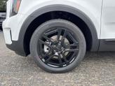 Thumbnail of 2025 Glacial White Pearl Kia Telluride