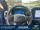 Thumbnail of 2025 Blue Ford F-150