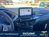 Thumbnail of 2025 Blue Ford Escape