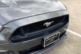 Thumbnail of 2017 Magnetic Metallic Ford Mustang