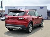 Thumbnail of 2021 Rapid Red Metallic Tinted Clearcoat Ford Escape
