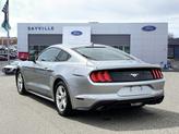 Thumbnail of 2023 Iconic Silver Metallic Ford Mustang