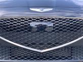 Thumbnail of 2023 Vik Black Genesis G70