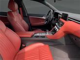 Thumbnail of 2023 Vik Black Genesis G70