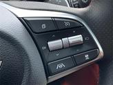 Thumbnail of 2023 Vik Black Genesis G70