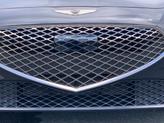 Thumbnail of 2025 Vik Black Genesis G70