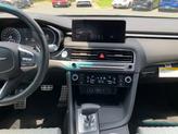 Thumbnail of 2025 Vik Black Genesis G70