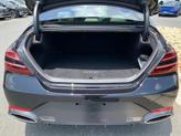 Thumbnail of 2025 Vik Black Genesis G70