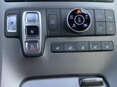 Thumbnail of 2020 Rainforest Hyundai PALISADE