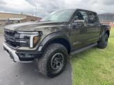 Thumbnail of 2025 Shelter Green Ford F-150
