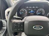 Thumbnail of 2021 Blue Ford F-150