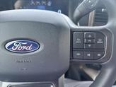 Thumbnail of 2025 Carbonized Gray Metallic Ford F-150