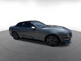Thumbnail of 2023 Gray Ford Mustang