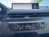 Thumbnail of 2024 Vik Black Genesis G80