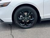 Thumbnail of 2025 Platinum White Pearl Honda Accord