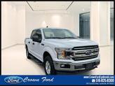 Photo of 2019 OXFORD WHITE Ford F-150