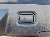 Thumbnail of 2023 Calypso Red Hyundai SANTA FE