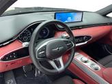 Thumbnail of 2024 Vik Black Genesis GV70