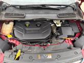 Thumbnail of 2014 Red Ford Escape