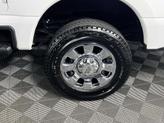Thumbnail of 2025 STAR WHITE Ford F-350