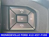 Thumbnail of 2016 Ruby Red Metallic Tinted Clearcoat Ford F-150