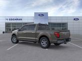 Thumbnail of 2025 Gray Ford F-150