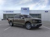 Thumbnail of 2025 Gray Ford F-150