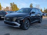 Thumbnail of 2025 Ash Black Hyundai TUCSON Hybrid