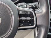 Thumbnail of 2022 Pantera Metal Kia Carnival
