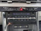 Thumbnail of 2022 Pantera Metal Kia Carnival