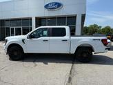 Thumbnail of 2025 White Ford F-150