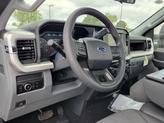 Thumbnail of 2025 Agate Black Metallic Ford F-250