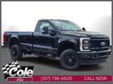 Photo of 2025 Agate Black Metallic Ford F-250