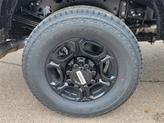 Thumbnail of 2025 Agate Black Metallic Ford F-250