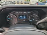 Thumbnail of 2025 Avalanche Ford F-250