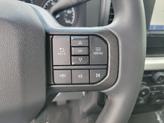 Thumbnail of 2025 Avalanche Ford F-250