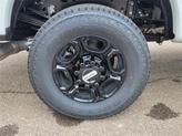 Thumbnail of 2025 Avalanche Ford F-250