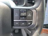 Thumbnail of 2025 Rapid Red Metallic Tinted Clearcoat Ford F-150 Lightning