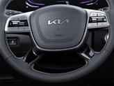 Thumbnail of 2025 Gray Kia Telluride