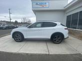 Thumbnail of 2024 Alfa White Alfa Romeo Stelvio
