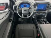 Thumbnail of 2025 Rapid Red Metallic Tinted Clearcoat Ford F-150
