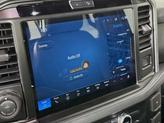Thumbnail of 2025 Carbonized Gray Metallic Ford F-150