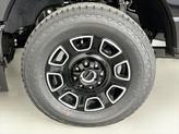 Thumbnail of 2025 Agate Black Metallic Ford F-250