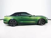 Thumbnail of 2023 Eruption Green Metallic Ford Mustang