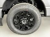 Thumbnail of 2025 Carbonized Gray Metallic Ford F-250
