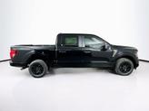 Thumbnail of 2025 Agate Black Metallic Ford F-150