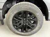 Thumbnail of 2025 Carbonized Gray Metallic Ford F-150