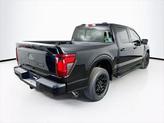 Thumbnail of 2025 Agate Black Metallic Ford F-150